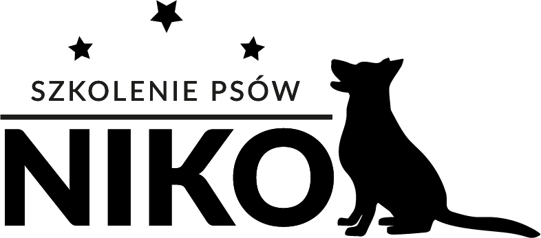 Szkoła NIKO